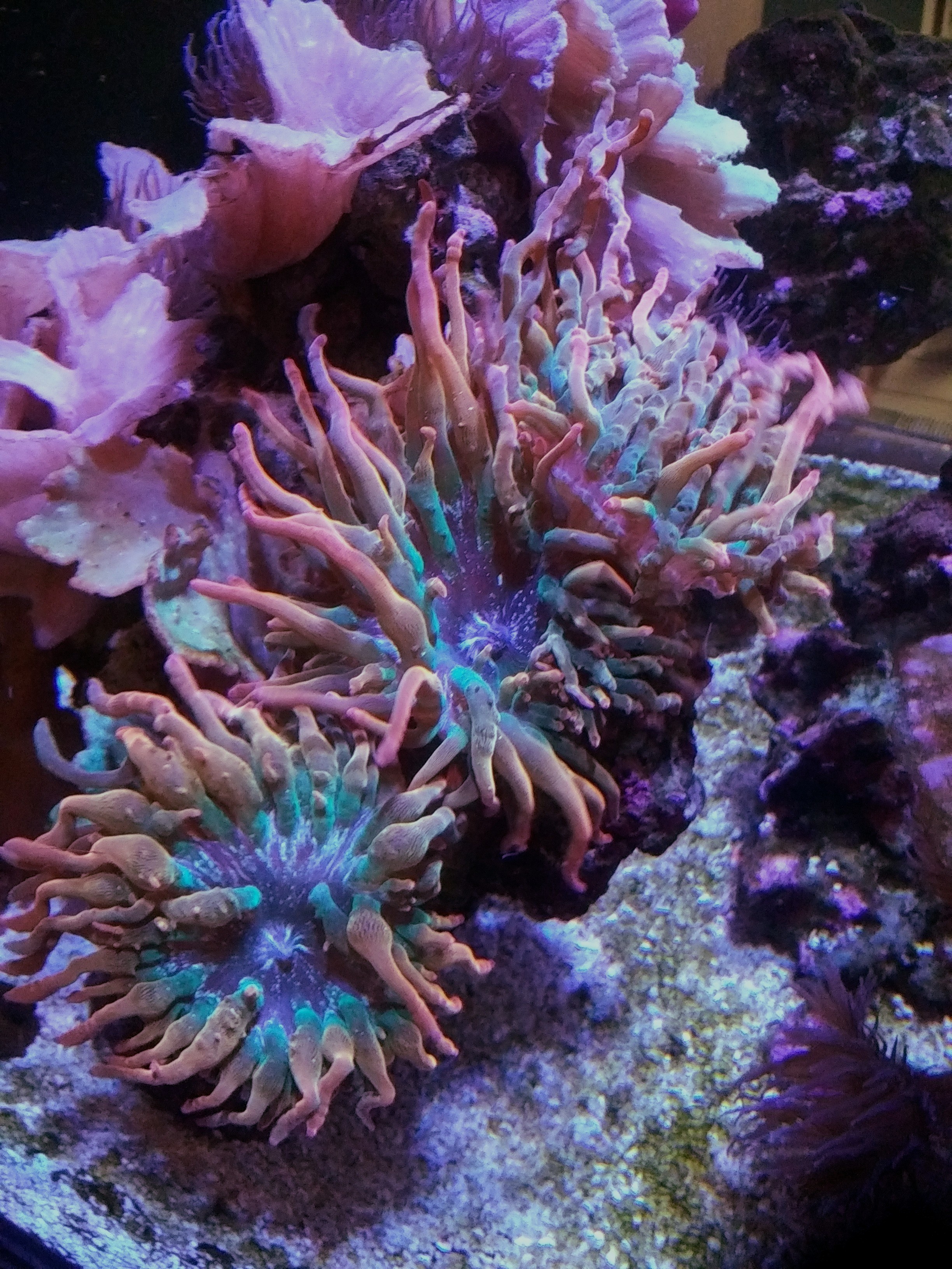 20251225_133457~4 (1).jpg