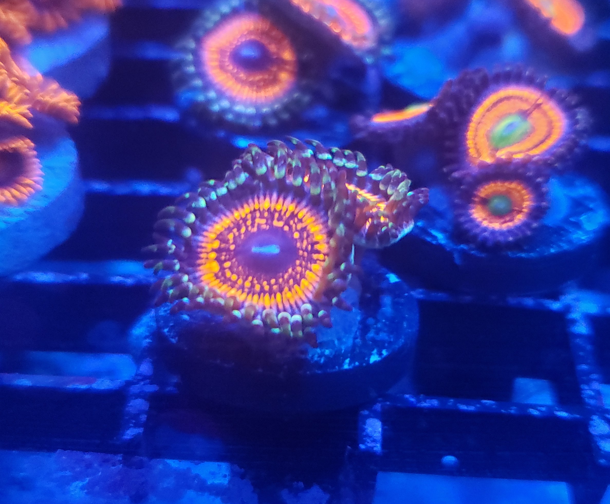 NOT POSTED 19Armor.jpg