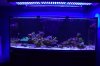 fts with orphek 6-1-17.jpg