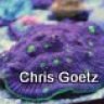 Chris Goetz