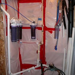 Our First Marine Tank