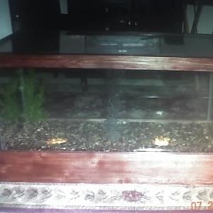 fish tank table