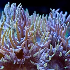 Photo Contest 3 - 2008