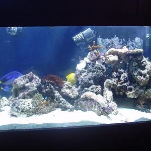 My Tank