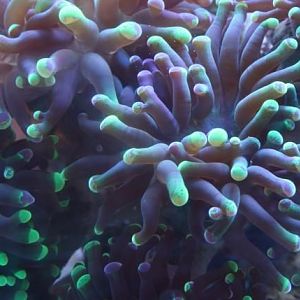 Photo Contest 4 - 2008