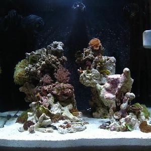 My 34g Started again Oct 08