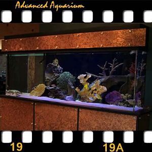 Aquariums