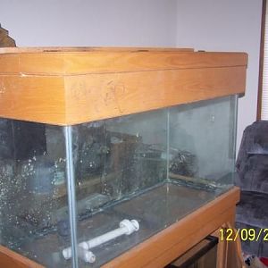 New 90 gallon set up