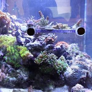 Biocube FTS