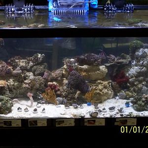 psp frag/invert pics