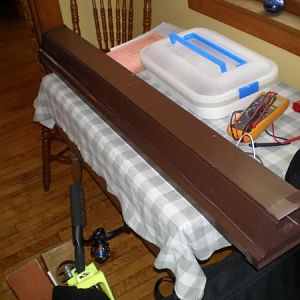 discus aquarium 55 gal