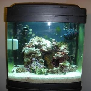 BioCube 14 For Sale ($200 OBO)