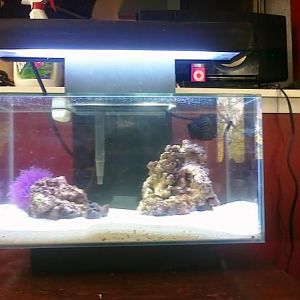 Fluval Edge