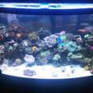 Tank looking like a tank