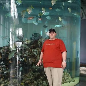 aquarium charleston,sc