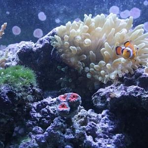 random tank pics 12.5.2010