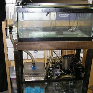 hospital/quarantine tank