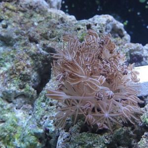 125- Thanks to Nate!