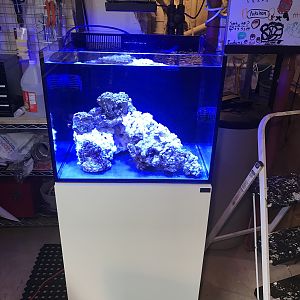 40 Gallon Cube