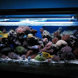 Temporary Lights - thanks NandKBlock