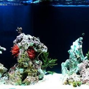 Full Tank - 03/28/2008