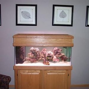 05 27 06 Tank Shot   24 hrs After Purchase