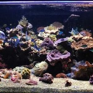 best FTS March 9, 2008