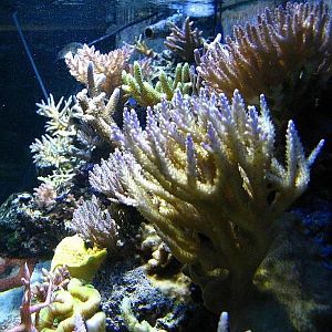 03-18-08 Side View from the right