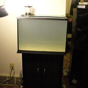 Cloudy after the water and sand were added