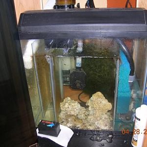 Cleaned up Sump Shot