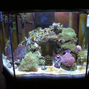 updated tank full tank