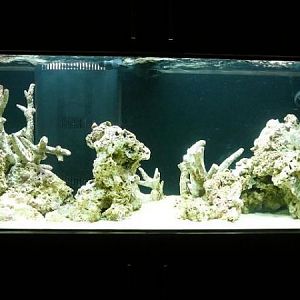 Aquascaping - Tried a little something different...