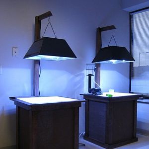 The stands up in the store with lights.