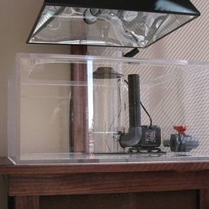 The first aquarium has arrived!