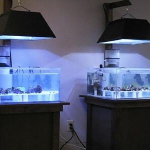 Both aquariums side by side.
