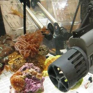 A Maxi-Jet 1200 with Sureflow Upgrade Kit and some corals in the background.