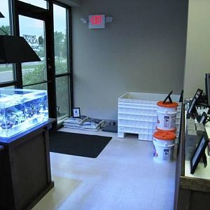 An entrance shot with the live rock bin.