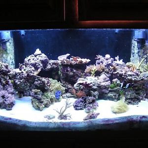 fts