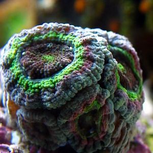 IMG 0835 fixed cropped