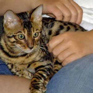 He's just such a snuggle bug.