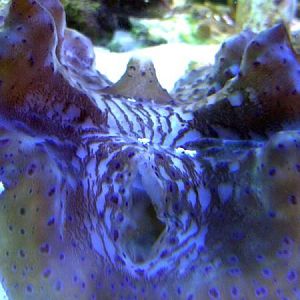 Marine Solutions Visit 6