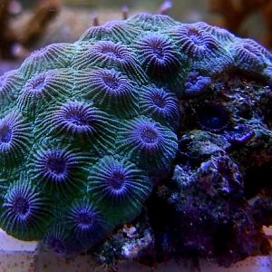 Marine Solutions Visit 13