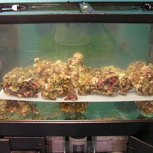 the 250 gal at dctc (curing rock)