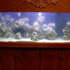 Tank Full Shot after sand