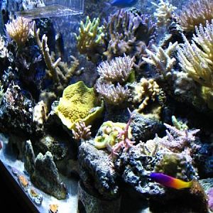 03 18 08 Right Front Angle