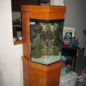 40 gal hex