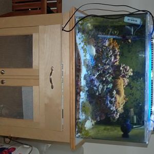 With flash to show the stand