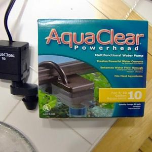 It's going to circulate the water.