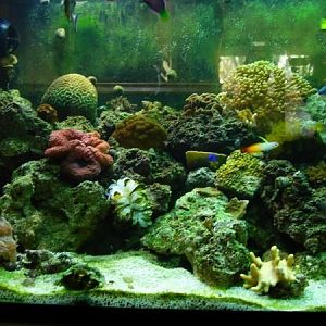 left side of mt 150 gal tank