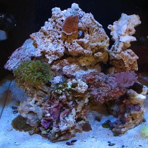 new aquascape 3 months